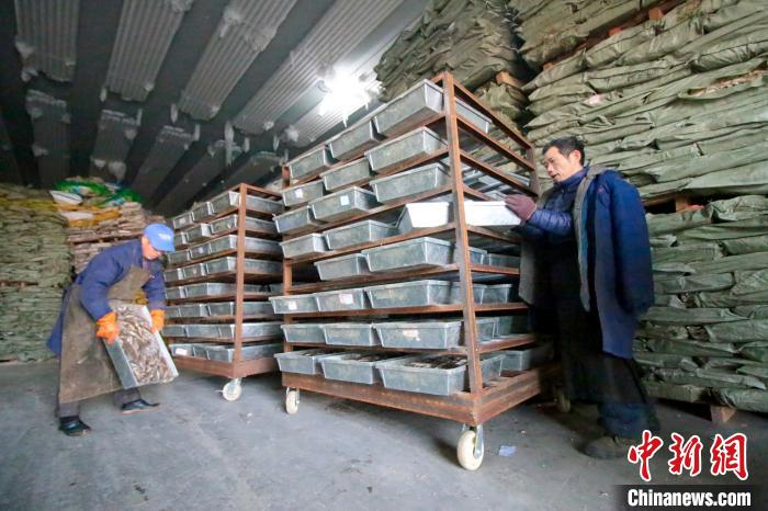    贫困户在冷库里搬运冷冻的小杂鱼。　王成前　摄
