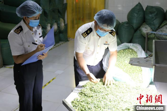 图为大理海关关员对出口蔬菜制品进行现场检验。　昆明海关供图