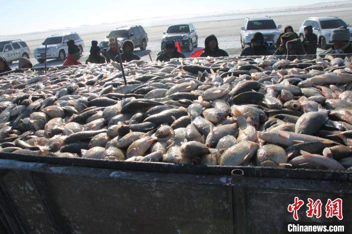 图为捕出的鱼。　赤峰市文化和旅游局供图