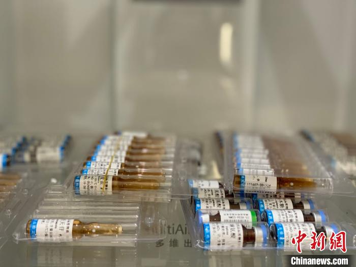 图为实验室内的藏药研究样本。　李江宁 摄