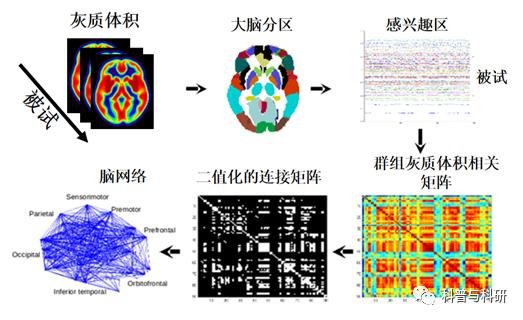 重磅预告：坐标深圳的一系列磁共振和脑电数据处理学习（2021年）插图23