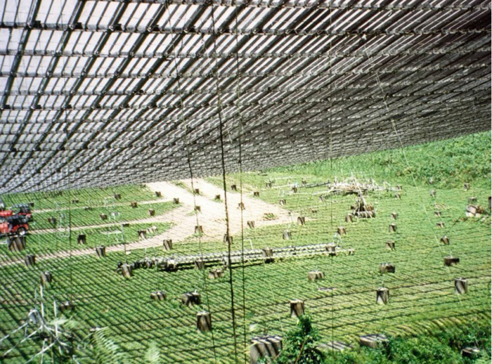 为了防止作为地基的石灰岩腐蚀，主反射面的下面一直保持着植被覆盖。图源：阿雷西博天文台