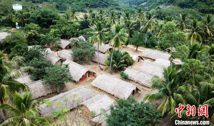 图为掩映在椰林中的白查村黎族船型屋。　林士杰 摄