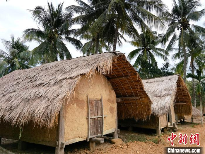 图为白查村黎族船型屋谷仓。　尹海明 摄