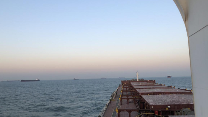 大量载有澳洲焦煤的船在河北省曹妃甸锚地上抛锚至今 受访者供图