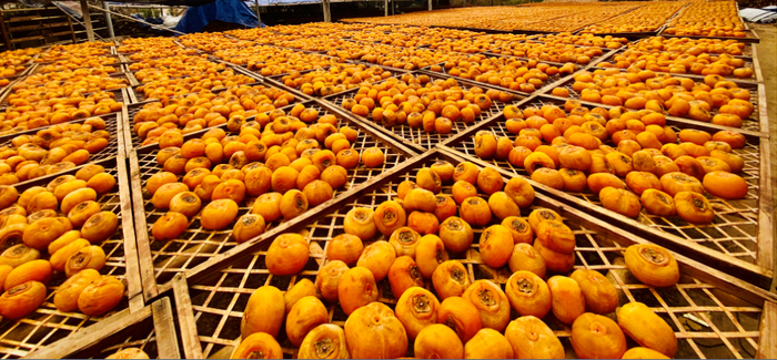 △柿饼是广西平乐县的特产之一