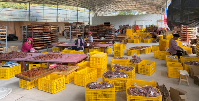 △家门口的柿饼加工厂，让更多村民在家门口实现就业、脱贫致富