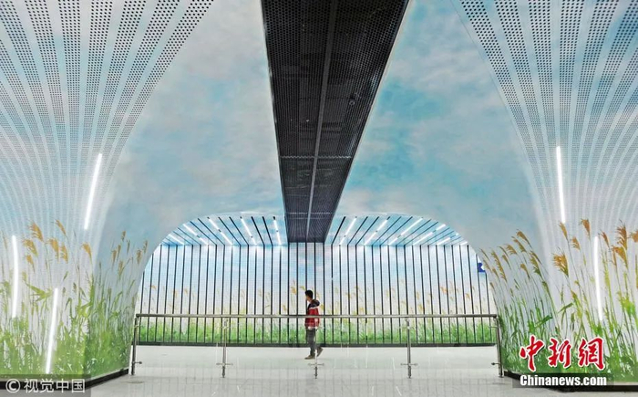 图片来源：视觉中国