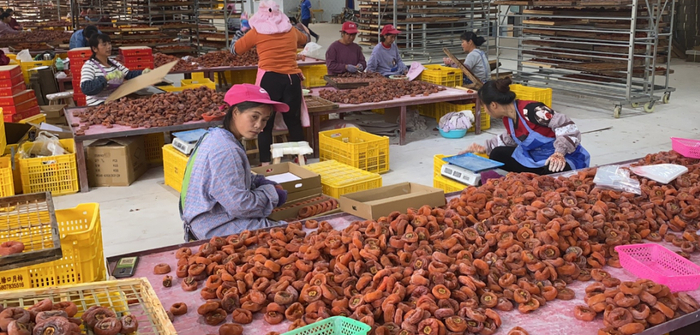 △工人在对柿饼进行过秤包装