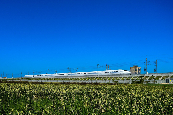 动车组列车驶过福平铁路长乐东站附近。 （中国网发 苏浩/摄）