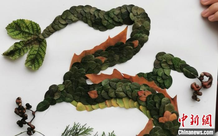 小学生的树叶贴画作品。金华开发区垃圾分类办提供