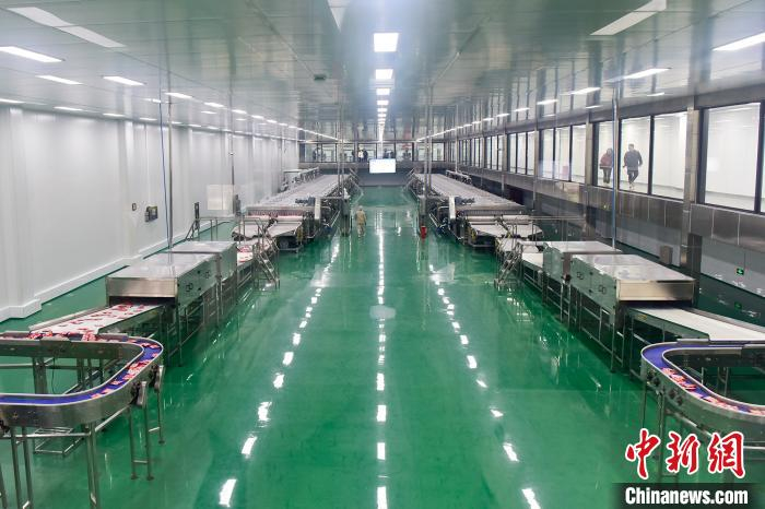 图为涪陵榨菜集团生产车间。　罗永皓 摄