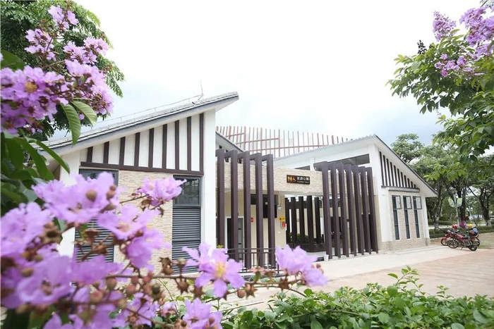 图源：“普洱发布”微信公众号