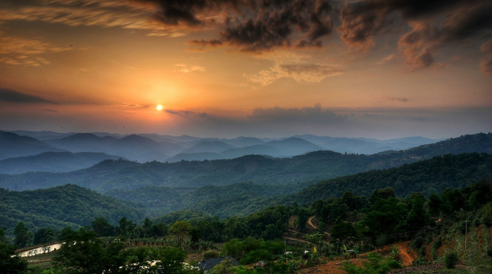 景迈山一景  云南省地方志编纂委员会办公室供图