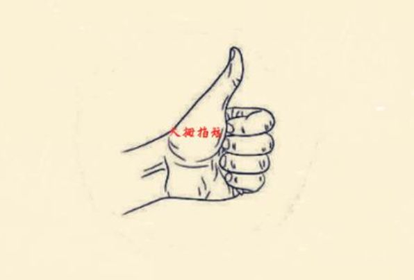 五指长短看一生是富是穷,你的哪根手指比较长,就是什么命!