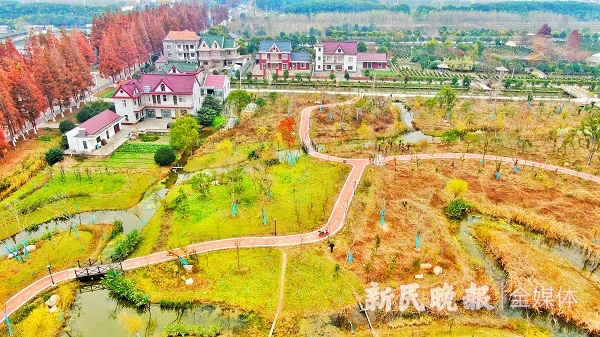 图说：崇明健身步道 新民晚报记者 李铭珅摄（下同）