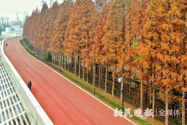 图说：南门港步道