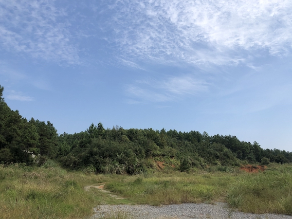 兰田唐代窑址远景 李梅 摄