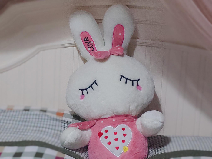 陈蔓家中的玩具。新京报记者 吴采倩 摄