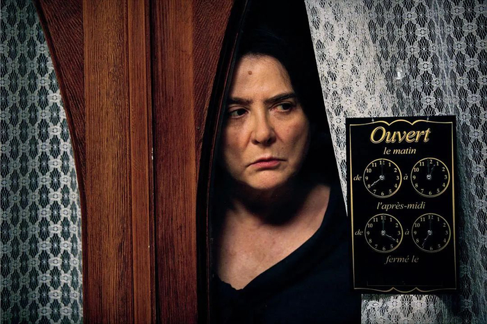 电影《刺猬的优雅》截图