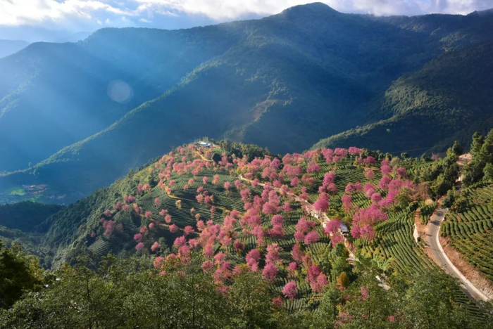 无量山风景 李培君摄