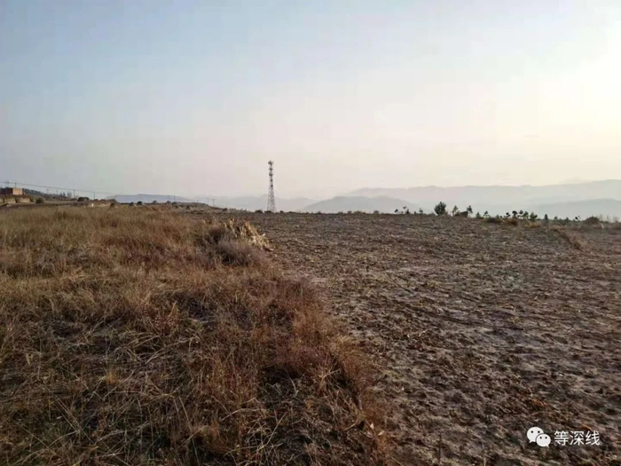 冬季的黄土高原植被稀少，颇显苍凉。 《等深线》记者 倪兆中 摄