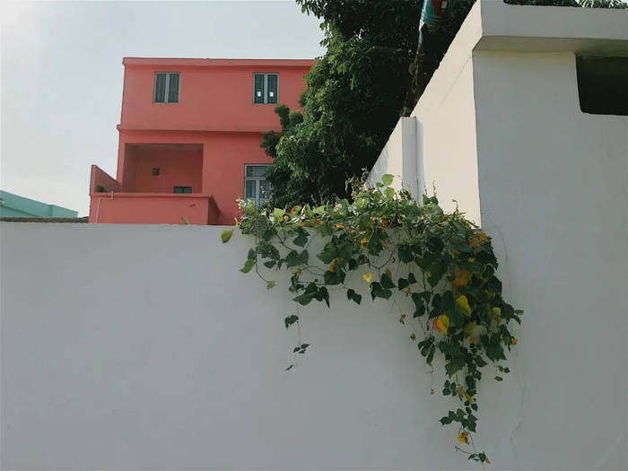 ▲（供图：吴诗慧）