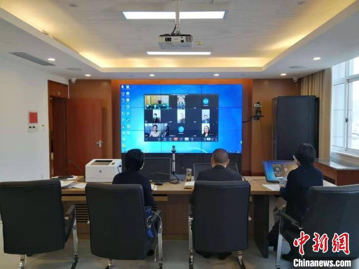 侨务部门通过“侨海通”跨境视频服务中心与海外侨团负责人连线研判疫情。青田县委统战部 供图