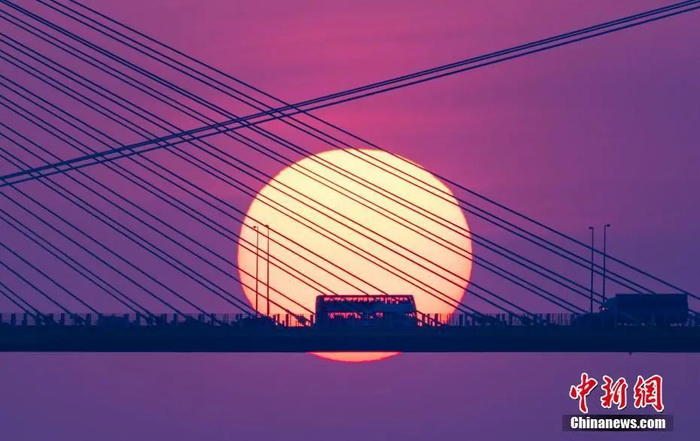 资料图。中新社记者 张炜 摄