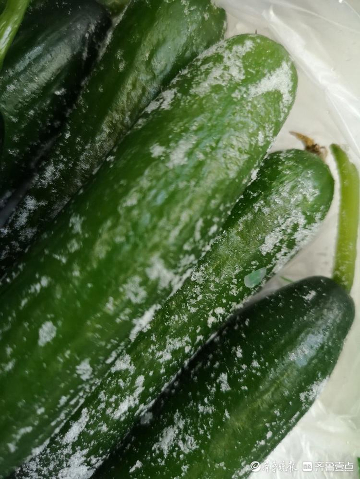 济南今天有多冷?买回来的黄瓜直接冻坏了