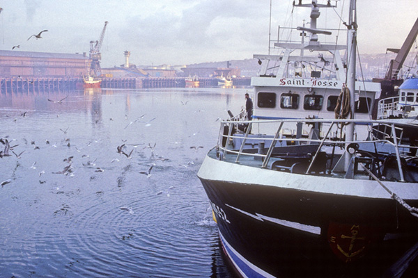 法国布洛涅码头。图|图虫创意 