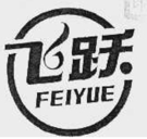 生龙鞋业拥有的另一个飞跃商标，1996年注册成功 &nbsp;&nbsp;图片来源：国家知识产权局商标局