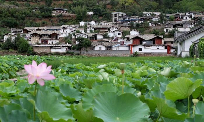 资料图：玉溪凤窝村 杨峥摄