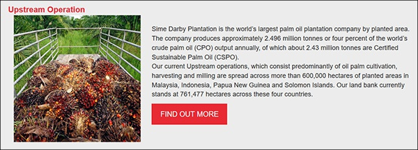 森那美公司网站简介截图