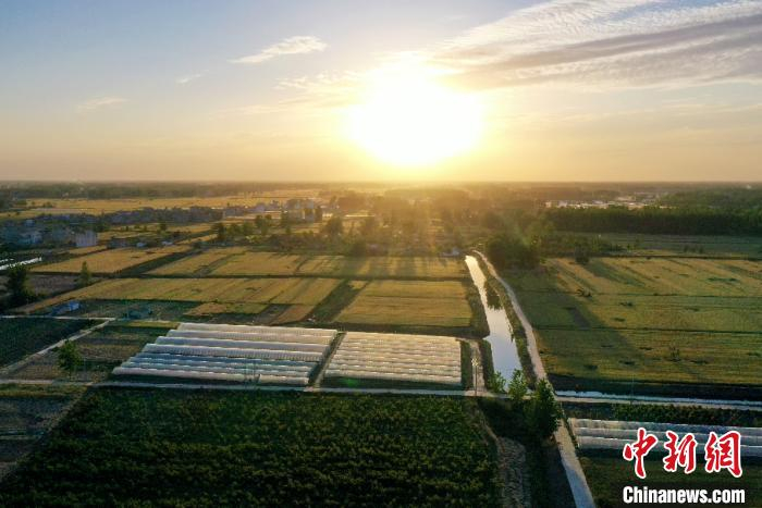 航拍镜头下的罗郢村。　安徽省发展改革委供图 