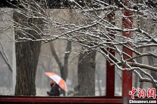 资料图。中新社发 韦亮 摄