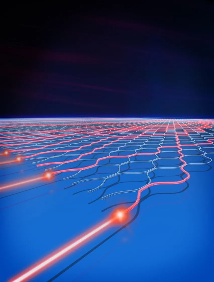 光量子干涉示意图 （制图：文乐，罗弋涵）