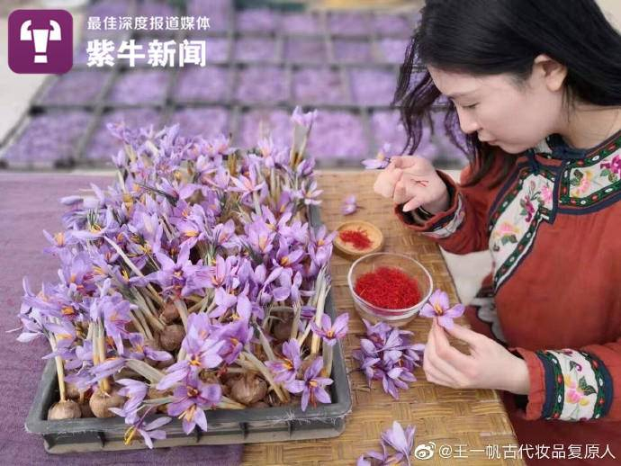 王一帆在选择复原妆品的原料