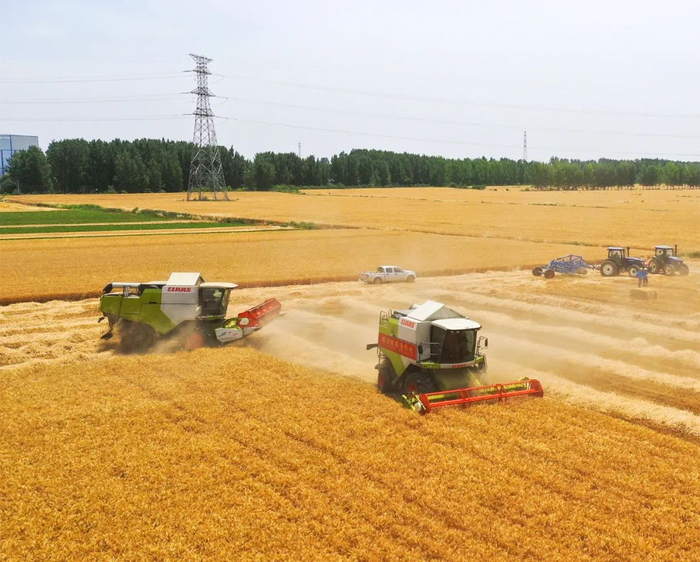 ▲2020年5月26日，“三夏”时节，河南省麦收正酣。图/新华社发