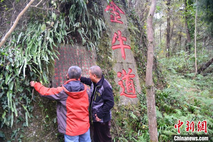 专家调查金牛道。　青川县文物管理所供 摄