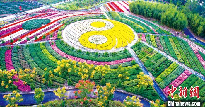 金东乡贤引领项目——渔歌小镇·菊园。 金东统战部供图