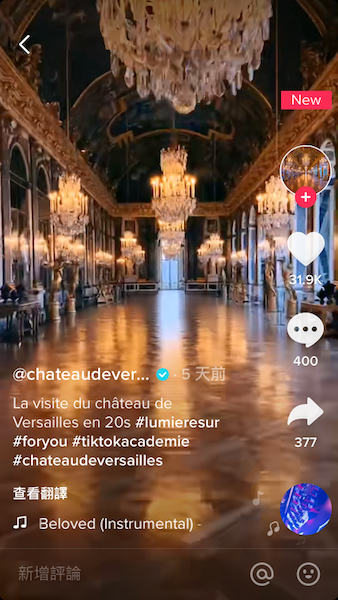 图说：20秒“环宫殿之旅” 采访对象供图（下同）