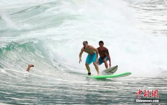 资料图：2020年11月3日，市民在香港大浪湾泳滩游泳、冲浪或休闲。中新社记者 张炜 摄