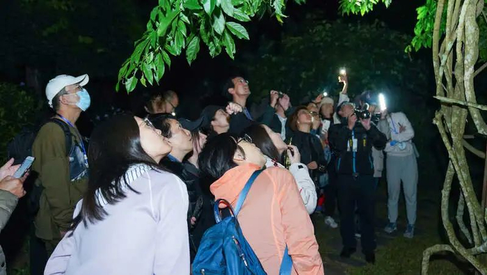 夜游植物园。张志巍 摄