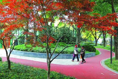  “霜叶流丹”的绿道秋色 本报记者 周馨 摄 