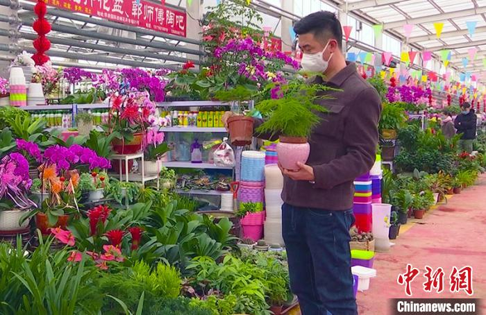     库尔勒市华凌花卉市场内，市民正在选购花卉。　马占芳　摄