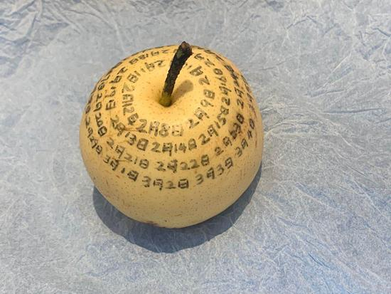 董婉婷在医院创作的毕业设计，梨子上记录着她被隔离至今的日期。