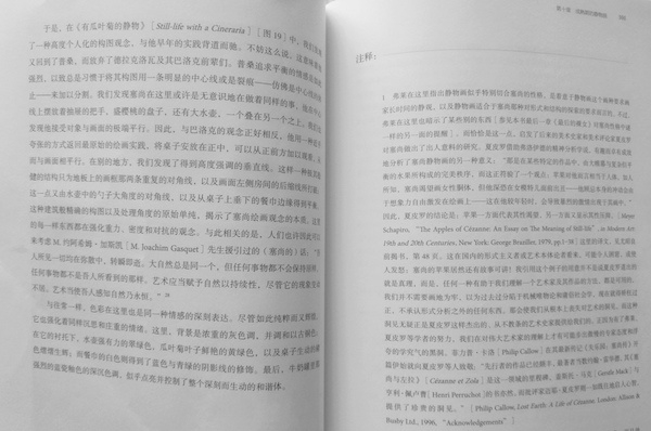 内页，注释几乎占据了整本书的一半。