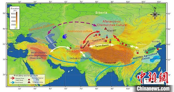     欧亚大陆早期作物及文明交流路径，文化区及研究点位置。周新郢供图