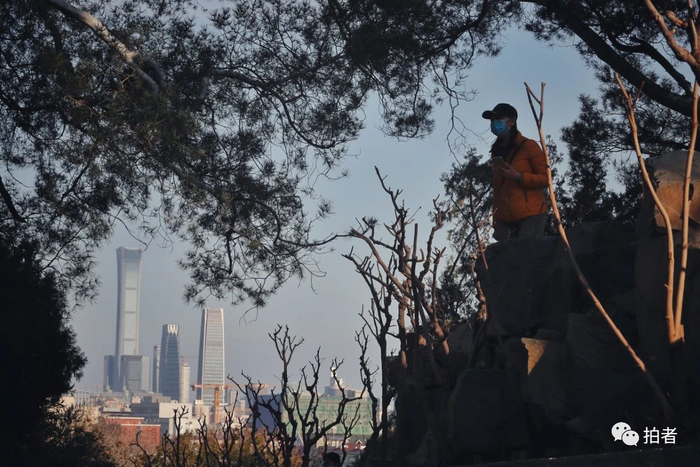 △ 3月7日，景山公园，市民周末来此放风。摄影/新京报记者侯少卿